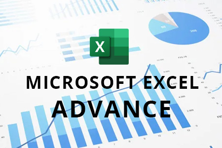 Microsoft Excel Advanced