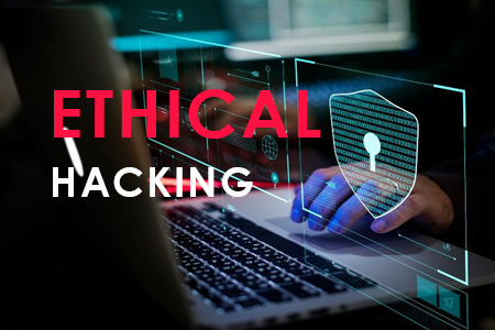 Cyber Security: Ethical Hacking